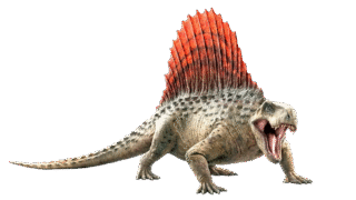 Dimetrodon with sail on its back