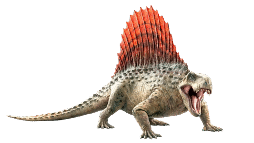Dimetrodon with sail on its back