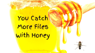 Flies attracted to honey