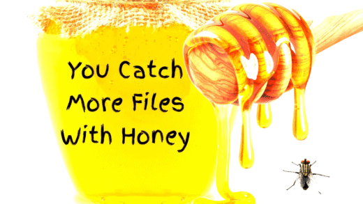 Flies attracted to honey