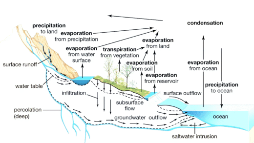 Illustration of the hydrologic cycle and rainfall