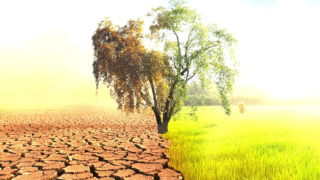Illustration showing effects of global warming
