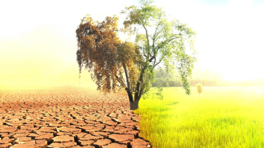 Illustration showing effects of global warming