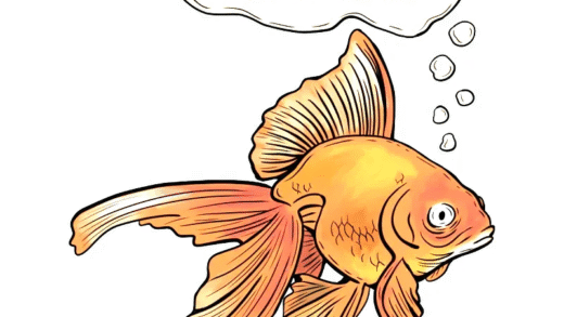 Goldfish demonstrating memory capabilities