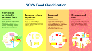Ultra-Processed Foods and Health Risks