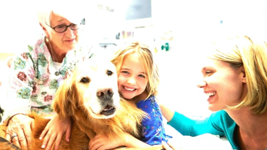 Benefits of Pet Therapy in Healthcare