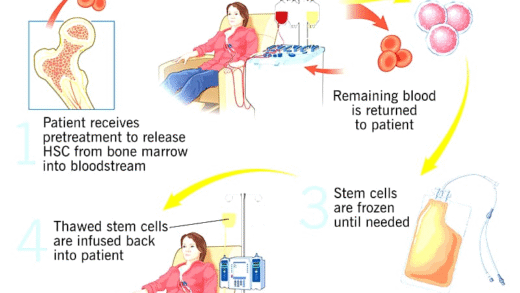 Illustration of stem cells and their applications