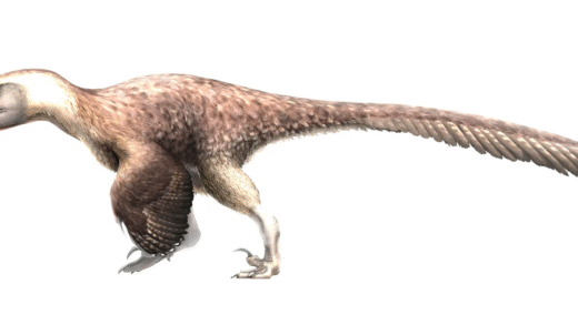 A representation of Utahraptor in its natural habitat