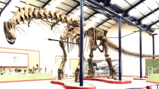 Illustration of Argentinosaurus, the giant dinosaur