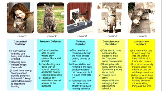 Cat hunting birds and mice instead of rats