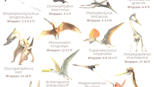 Illustration of Pterosaurs and Dinosaurs