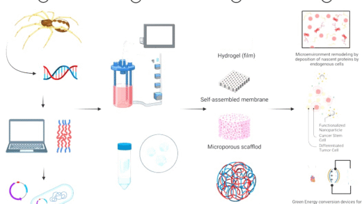 Applications of Spider Silk in Medicine and Technology