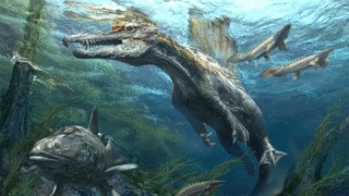 Spinosaurus floating in water