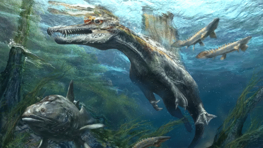 Spinosaurus floating in water