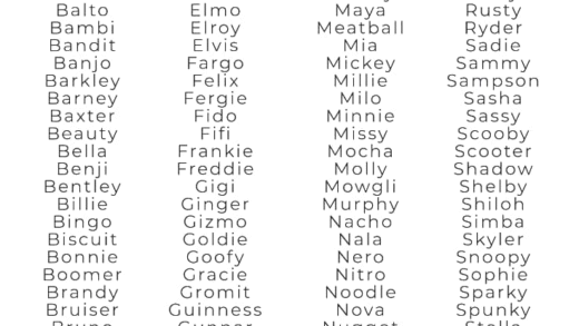 Two-syllable dog names for easy recognition
