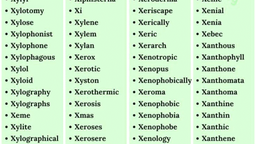 Interesting words starting with X for word games