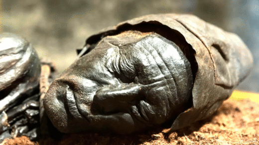Fascinating Bog Bodies