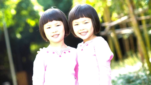 Illustration of cloning and twins