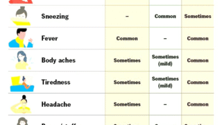 Visual guide to flu symptoms and fever management