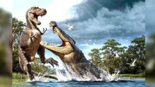 Comparison between crocodiles and dinosaurs