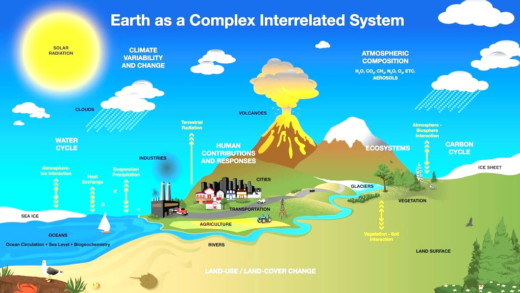 Visual representation of Earth's pulse and mass extinctions