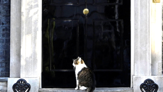 Larry the Cat, Chief Mouser of 10 Downing Street