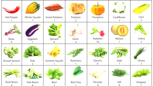 Visual representation of Square Foot Gardening layout