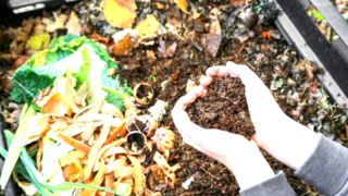 Composting items guide